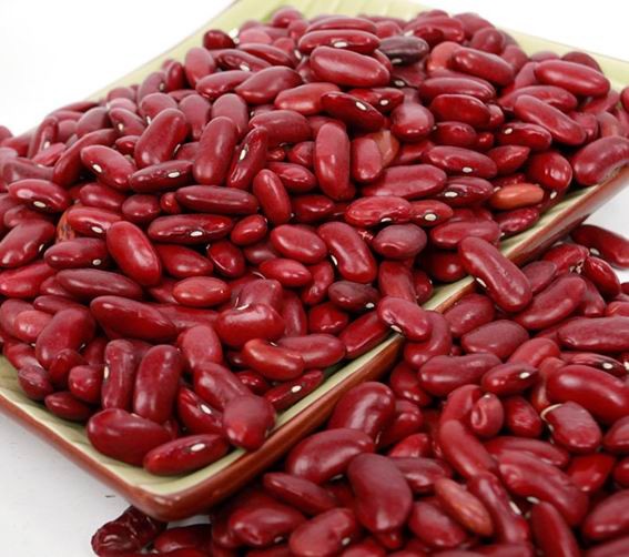 Темно-красная фасоль crop2019 высшего качества/DRKB/RAJMA/выбранная H.P.S Размер: 190-210 шт./100 г