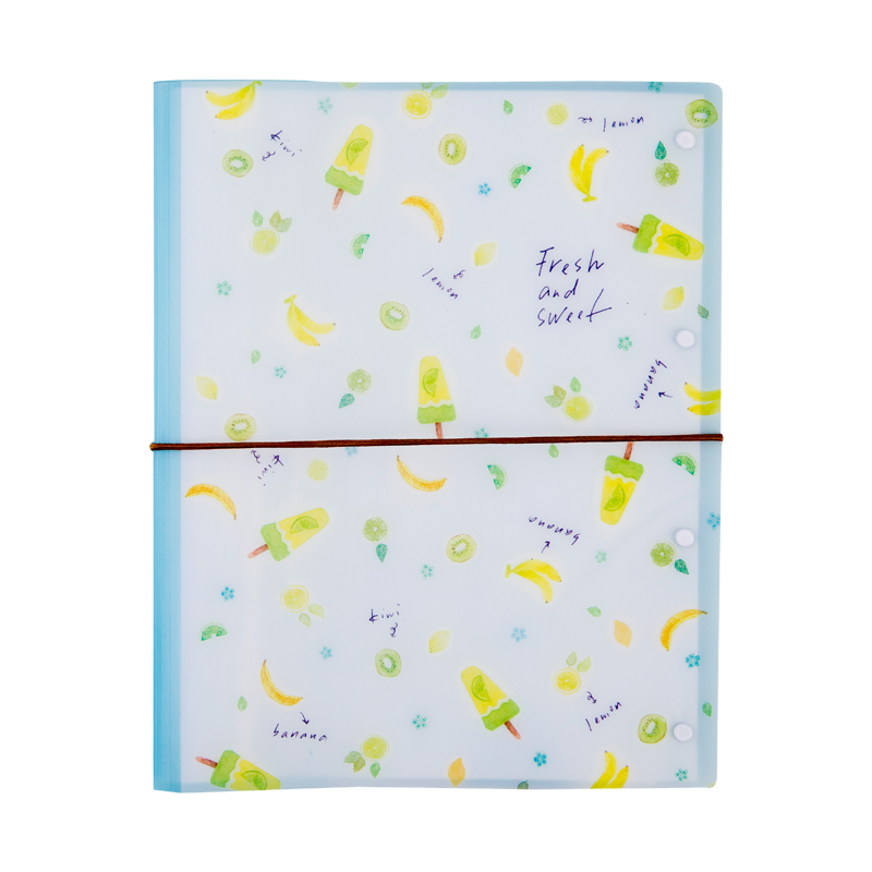Presentation Folder File Case A4 File Folder Paper Used For School