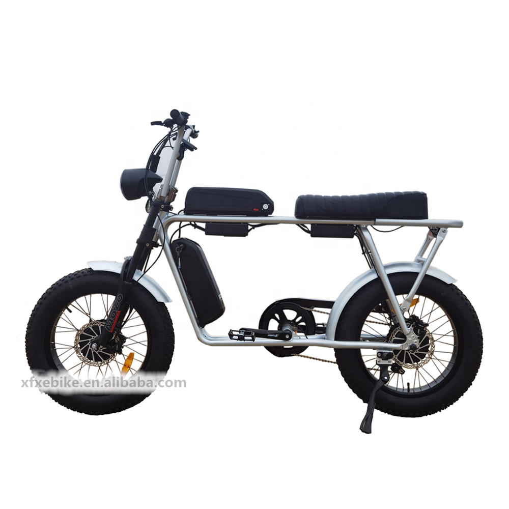 2021 дальность F/R 750W двойной двигатель ebike Двойной аккумулятор электрический велосипед длинное сиденье 20 дюймов толстые шины электровелосипеда
