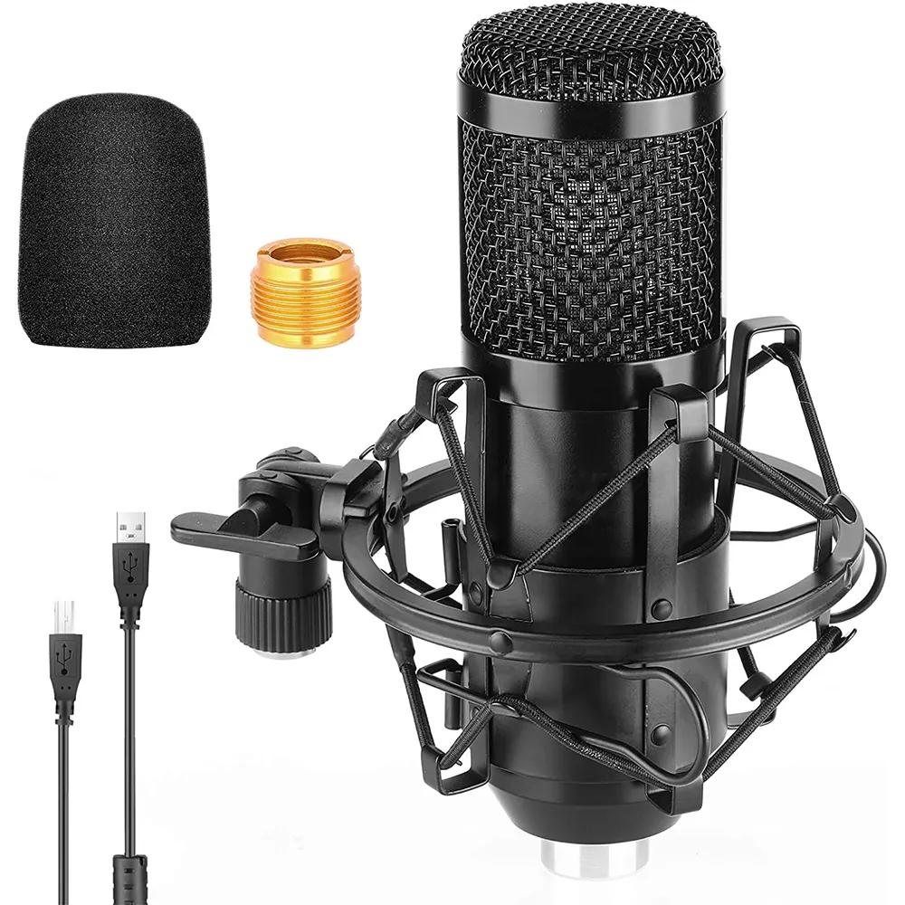 192KHZ/24BIT Professional Studio Condenser Microphone with Shock Mount for Recording