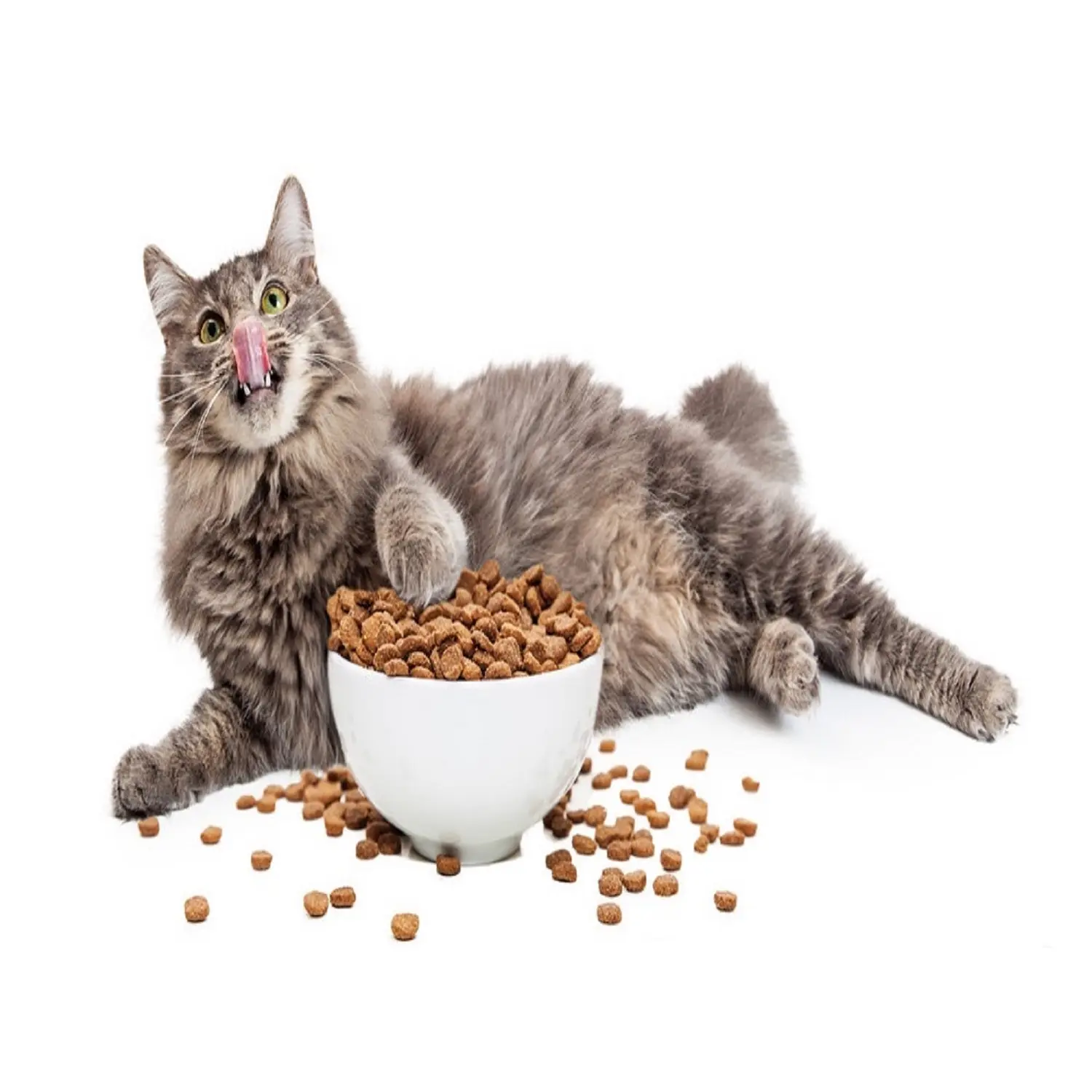 OEM ODM ручная пресс-форма с высоким содержанием белка корм для кошек сублимированный куриный корм для кошек корм для животных необработанные природные