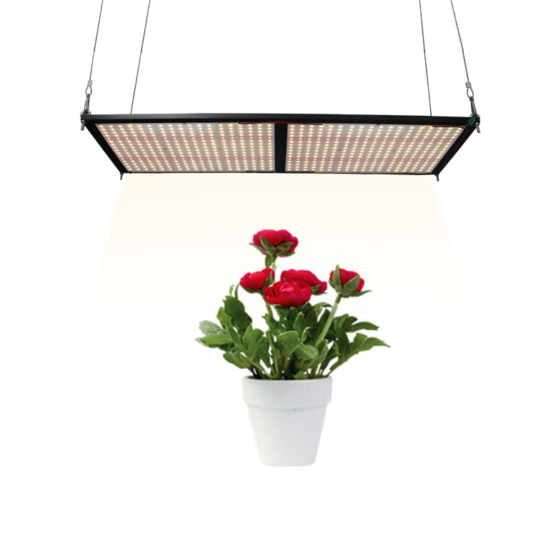 Fogrooo Meijiu 240W Qb288, лидер продаж 3500K Diy 240W Qb288 Светодиодные промышленные огни, коммерческий микс, красный Ir нм Epistar/