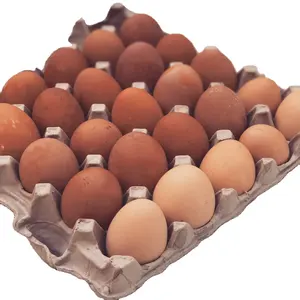 Fresh Farm Chicken Table Eggs