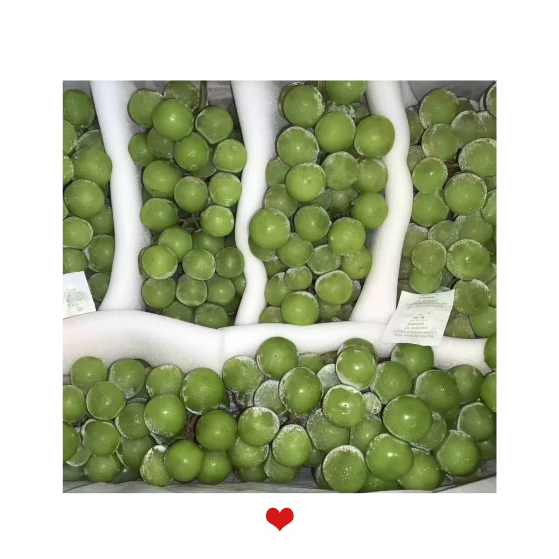 Fresh Grapes sweet Shine Muscat Premium Style Product