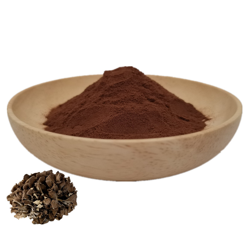 Nature herb extract maitake mushroom extract powder