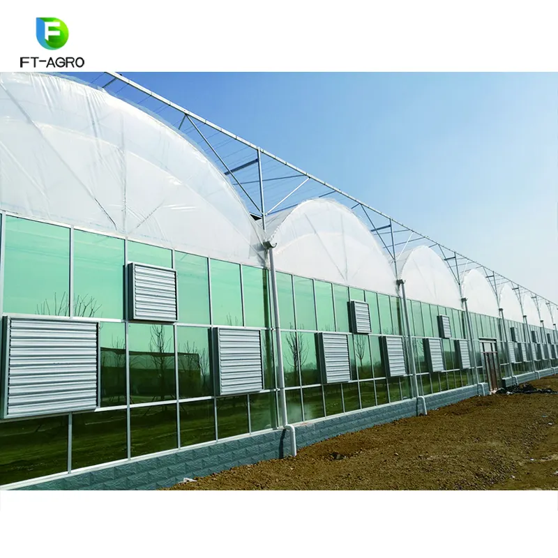 Commercial Hydroponic Systems Growing Greenhouse Vegetables Multi-span Green House with Climate Control System