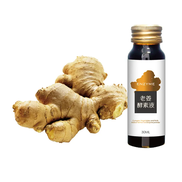 Wholesale Fruit And Vegetable Compound Dispel Cold Function Ginger Enzyme Oral Liquid