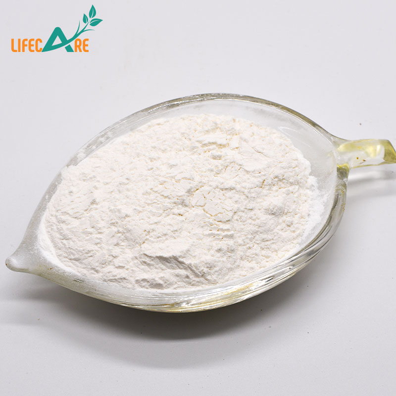 Certification ISO Chinese Factory Supply Probiotics Lactobacillus Lactis With Best Price