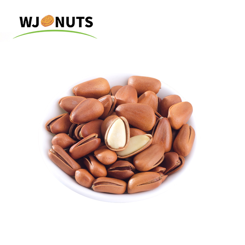Wangjiang pakistan or long pine nuts kernels prices nuts pine