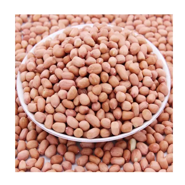 Wholesale Jumbo Peanuts 100% Natural Peanut Kernels Cheap Unshell Raw Peanuts