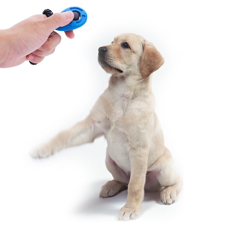 Hot Sale Customized Logo Dog Training Click Clicker With Wristband