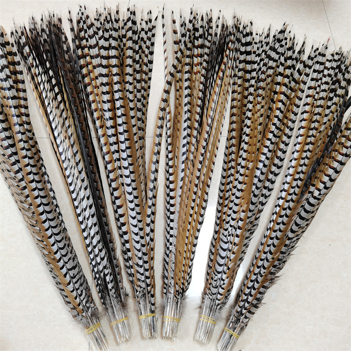 wholesale cheapest 90-100cm reeves pheasant tail feathers for carnival festivals