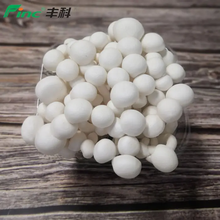 Factory price Manufacturer Supplier small mushrooms for sale small mushrooms shroom