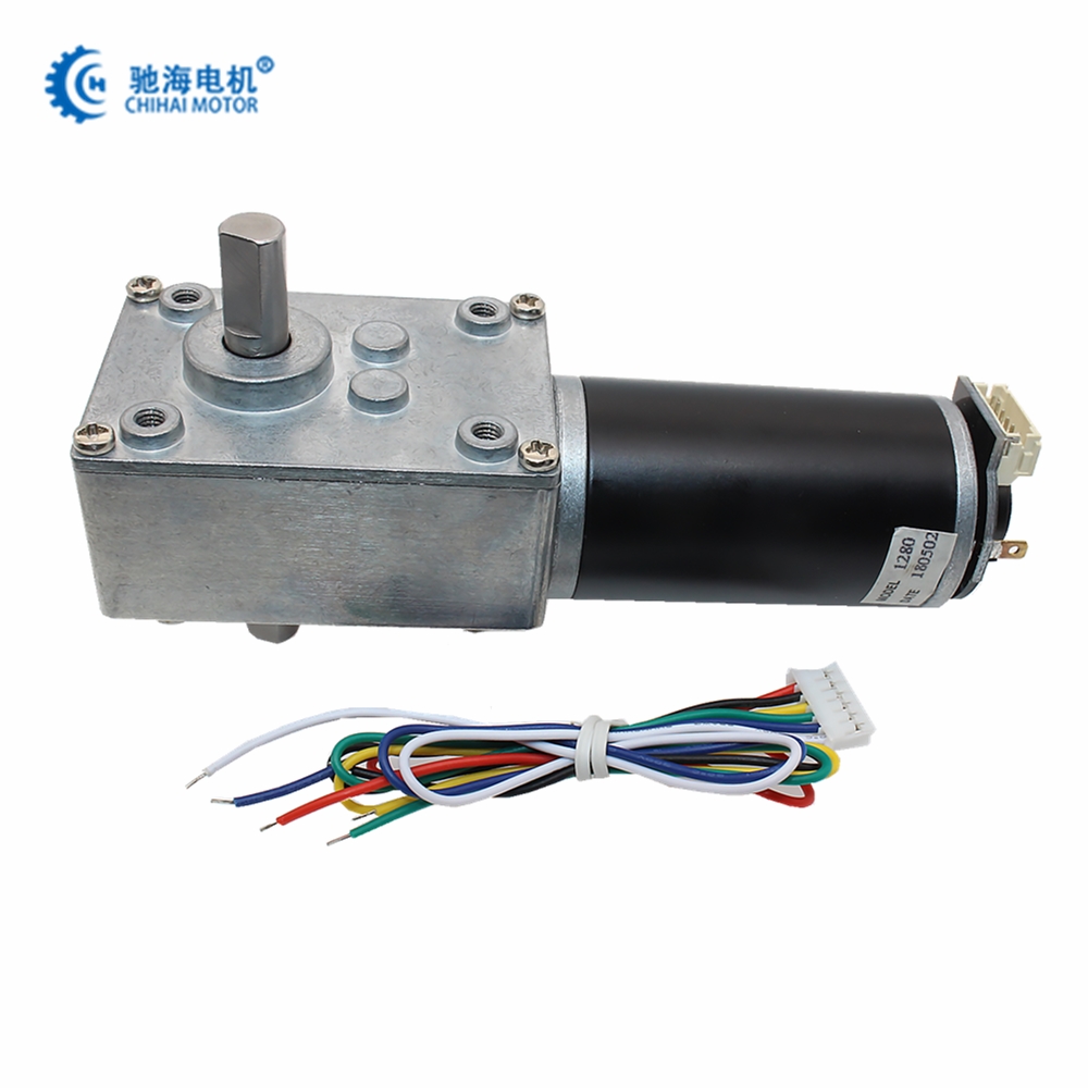 CHW-4058-3162 большой крутящий момент 35 кг. См двойной вал DC 12 В DC червячный редуктор электродвигатель с кодировщиком для пылесоса Dc
