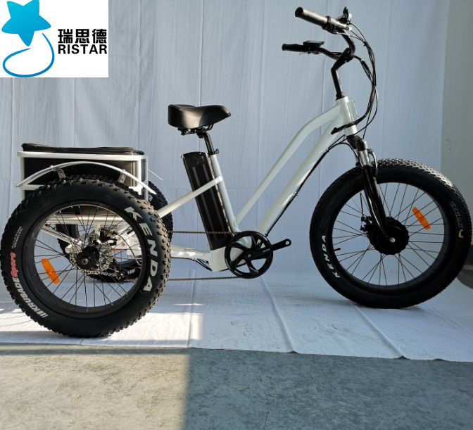 2019 новый тип передний ступичный узел мотор 48В 500w 3 колеса с толстыми покрышками электровелосипед Электрический Грузовой трайк трехколесный велосипед с корзиной