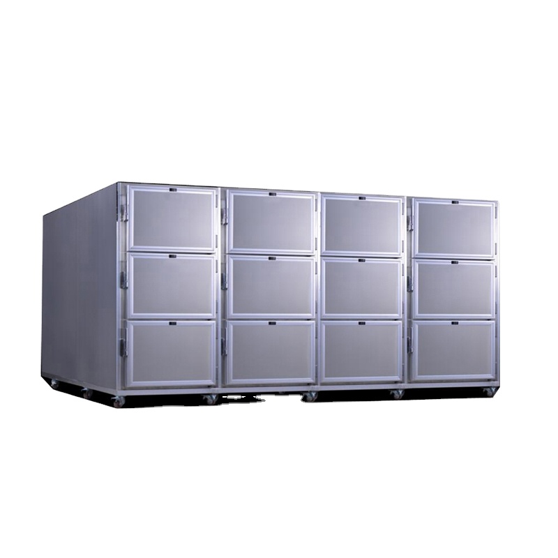 6-body Mortuary Body Refrigerator,Medical Mortuary Freezer Price