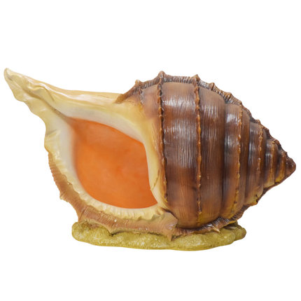 Outdoor marine theme decoration shell conch creative ornaments dolphin landscape glass steel sculpture
