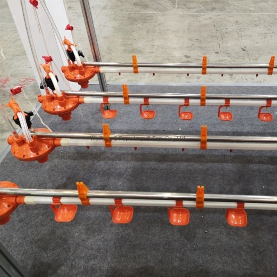 poultry broiler automatic chicken feeding system