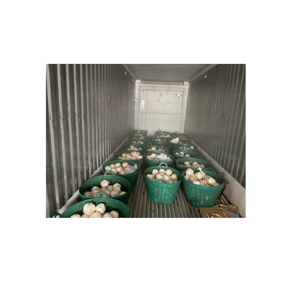 Молодой кокосовый тропический фрукт, продукты высшего качества, чистый напиток из Таиланда