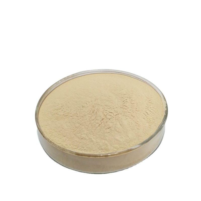 Поставка от производителя Bacillus coagulans для корма для животных