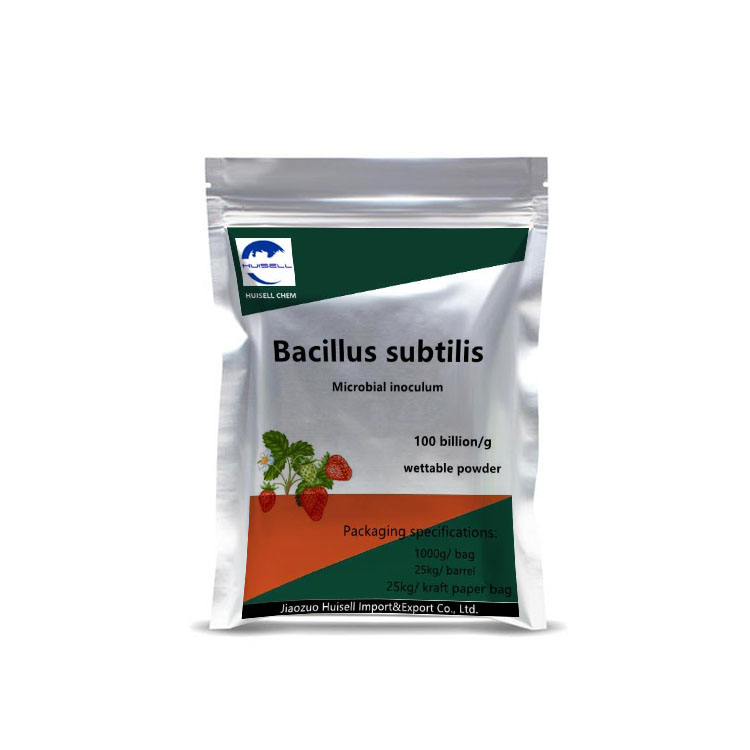bio fertilizer Bacillus Subtilis for agriculture product