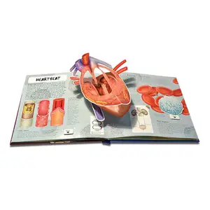 Прямая поставка, анатомия человеческого тела, 3d-изображение, руководство по каждой части человеческого тела и его работе