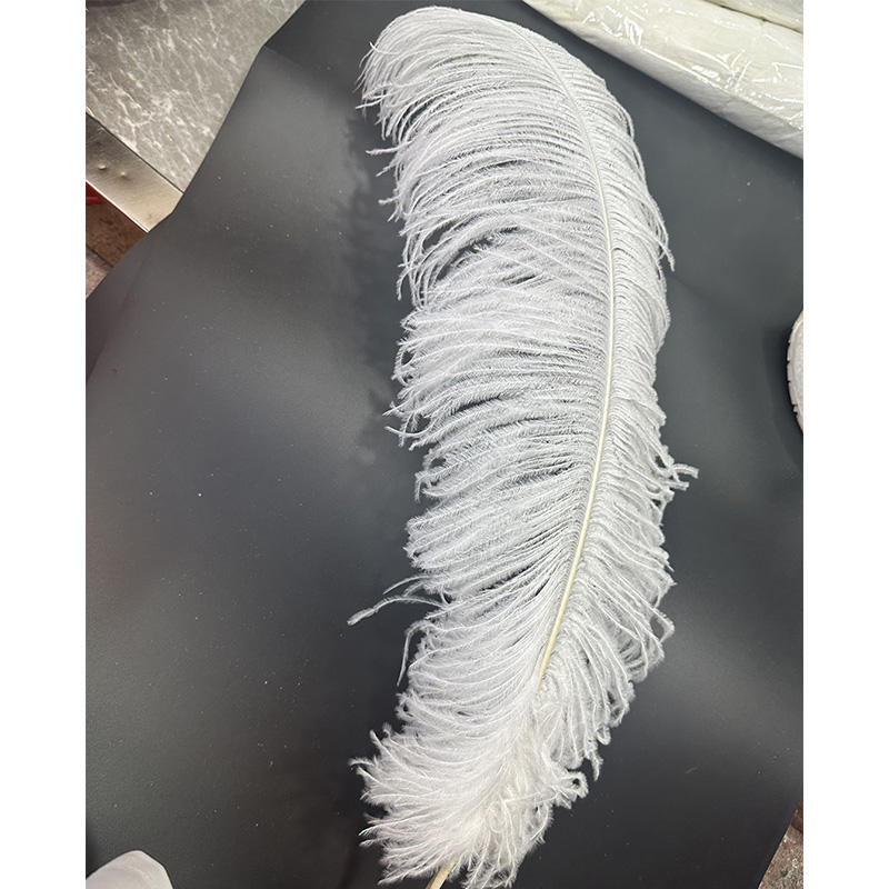 Wholesale 60-65cm white natural ostrich feathers trim touch thick rod soft ostrich feathers for wedding party decorative