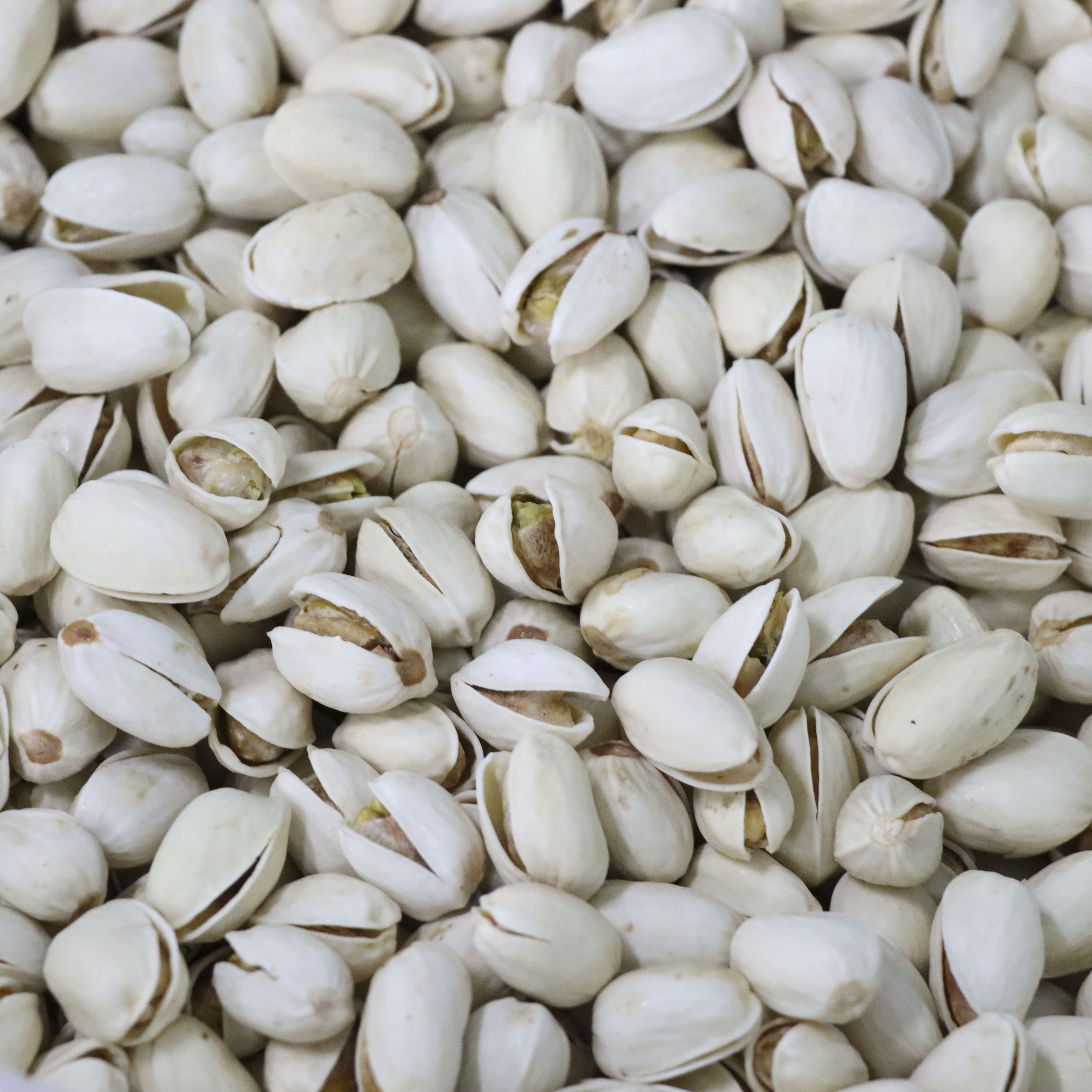 Factory outlet Naturally open,in Shell Roasted and Salted delicious fresh pistachios