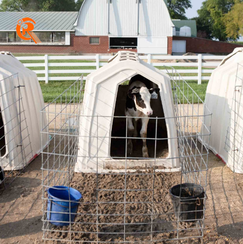 Outdoor Plastic Shed Baby Cow Calf Hutches with Steel Fencing