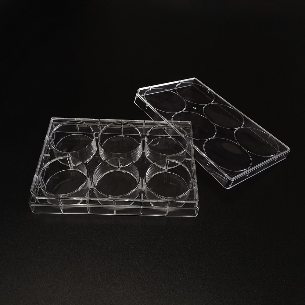 Petri Dish Transparent Plastic Cell Culture Plate with Numerical Codes