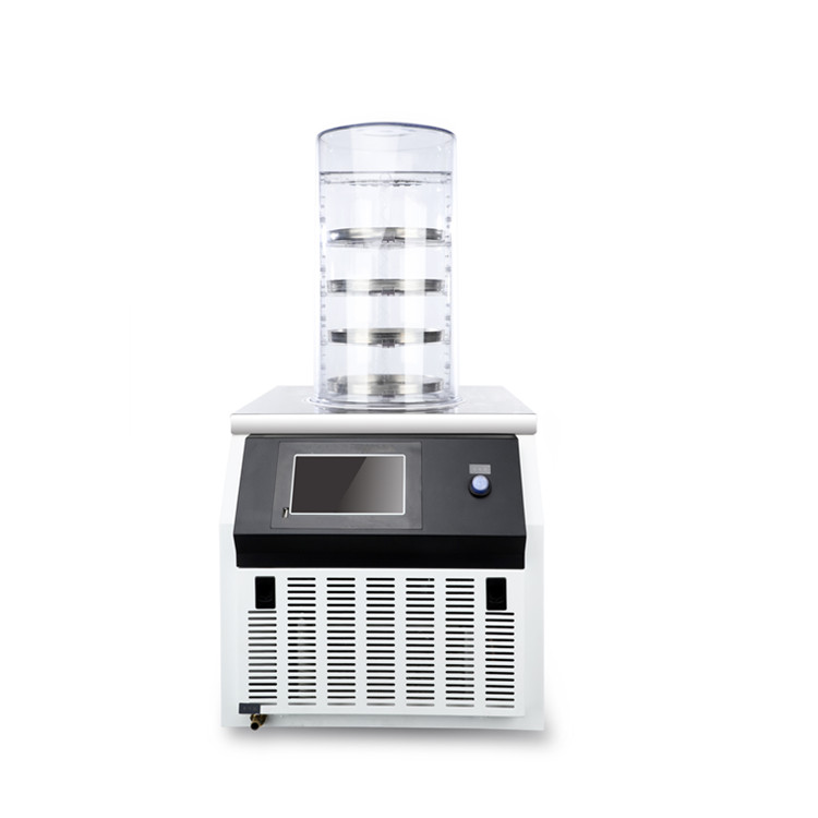 DW-10N Small Vacuum Food Home Lyophilizer Freeze Dryer