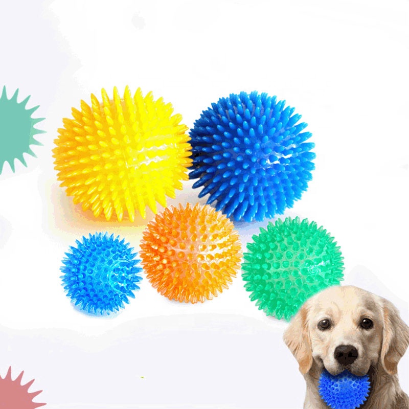 TPR Puppy Toys Dog Toy Squeaky Balls Chew Toys for Dogs Small