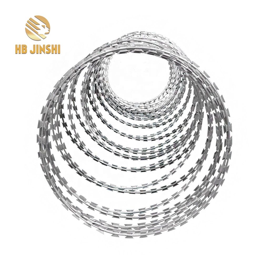 SS 316L Wally проволочная сетка BTO-22 нержавеющая сталь Concertina Razor Wire