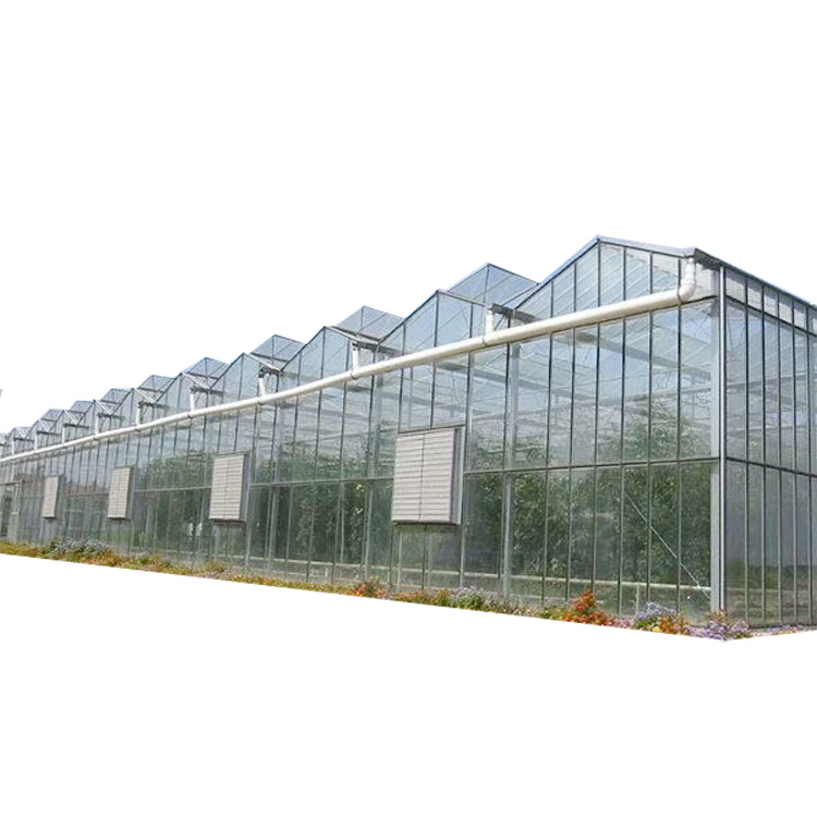Complete automatic green house commercial hydroponics glass greenhouse turnkey project