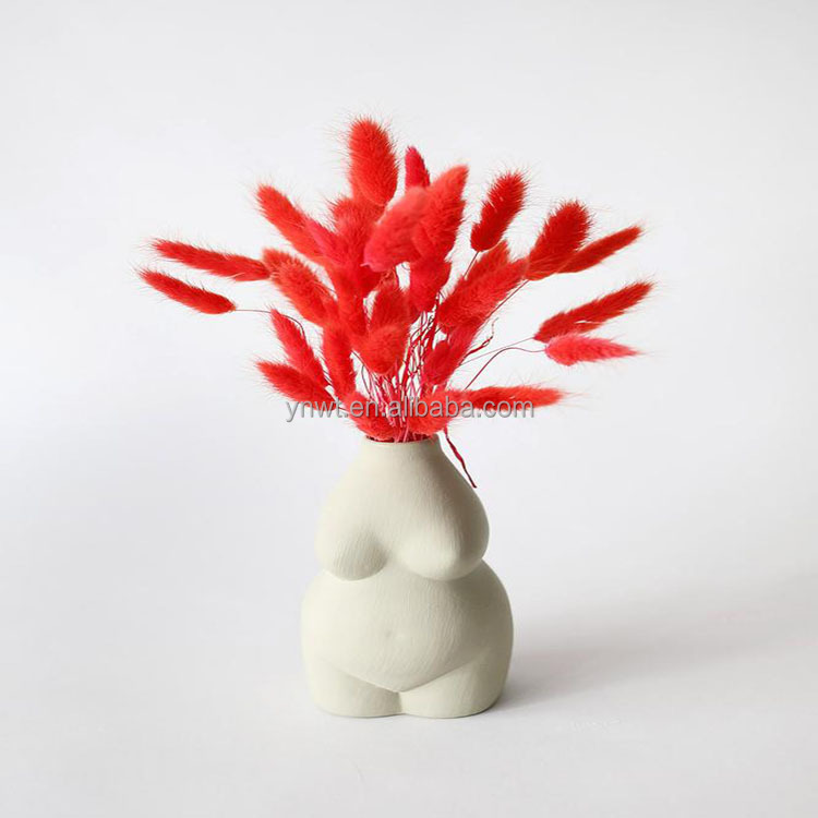 Summer Flora Ins style natural dried flowers bunny tails for Flowers Bouquets