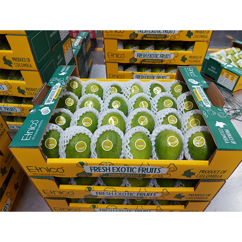 Хороший экзотический вкус свежий Feijoa Guava Steen Guava фрукты