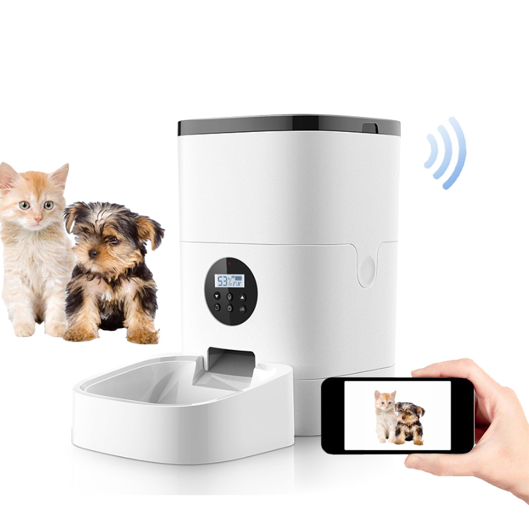 Timing Quantitative Visible Raised Dog Bowl Slow Self Feeder Automatic Microchip Smart Pet Food Feeder With Camera WIFI