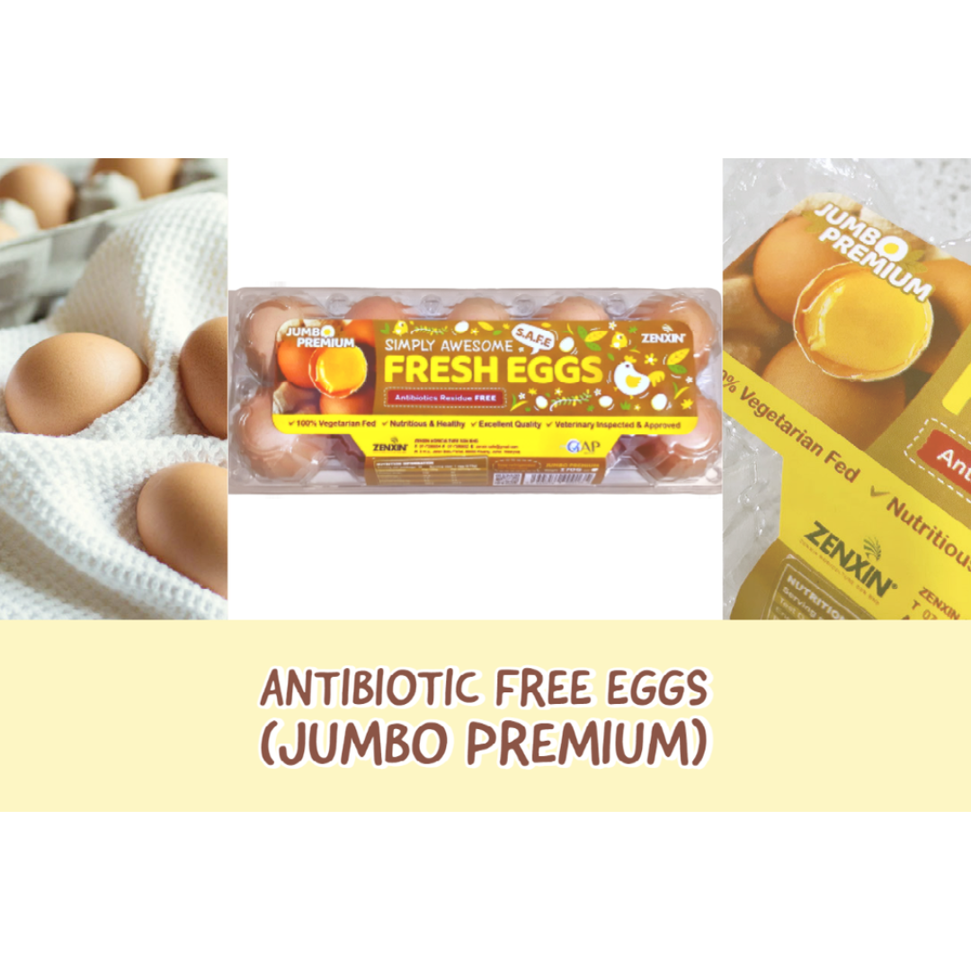Высококачественные настольные куриные яйца Zenxin, антибиотические яйца Jumbo Premium