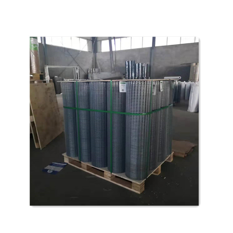 Hot dipped galvanized welded wire mesh