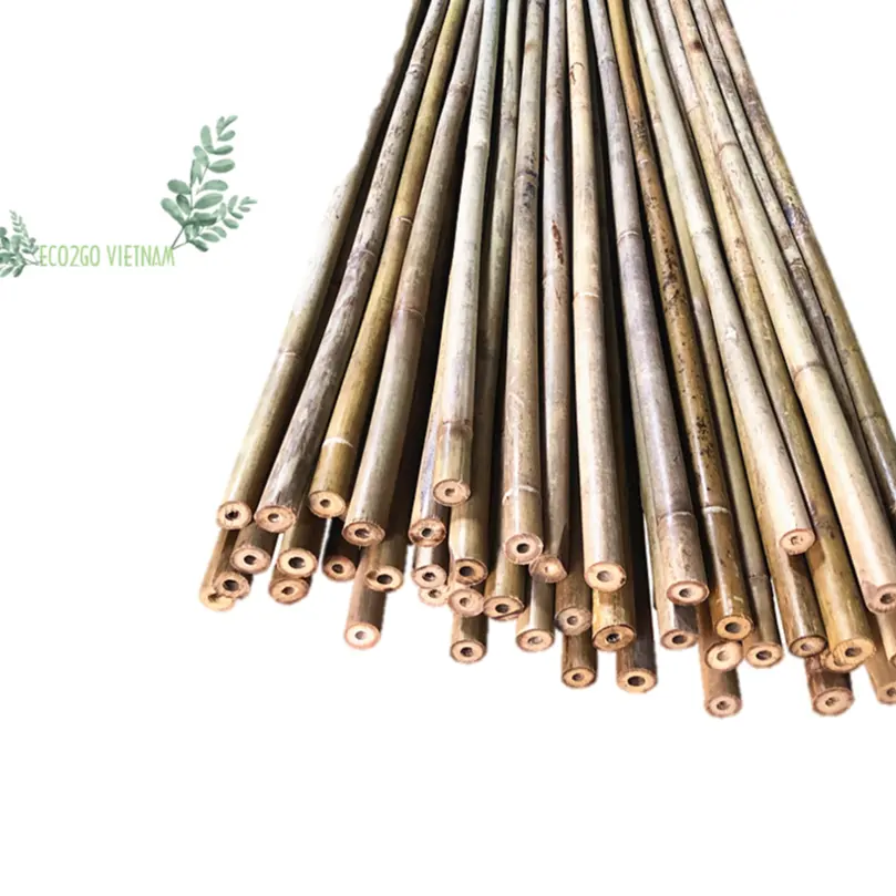 High Quality and Good Price For Raw Bamboo Poles/ Bamboo Poles Natural Canes For Construction, Agriculture Made by Eco2go
