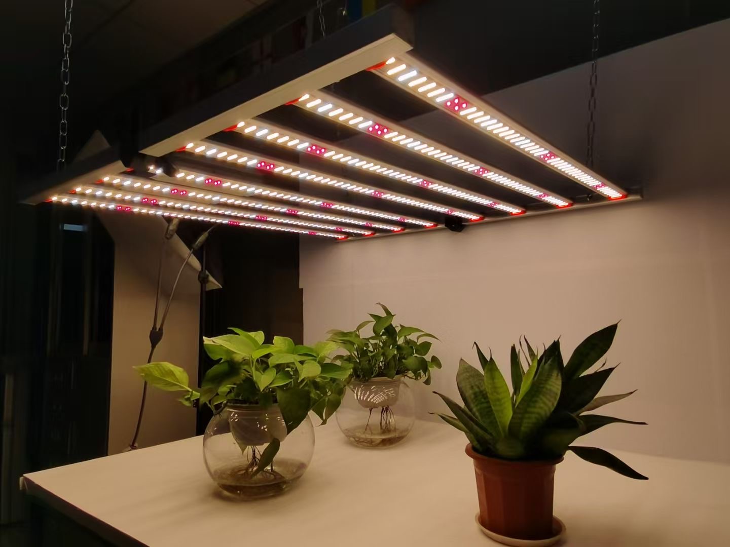 Завод новый складной Preminum 1700e LED Grow Light 800 Вт Высокая мощность завод свет роста оптом