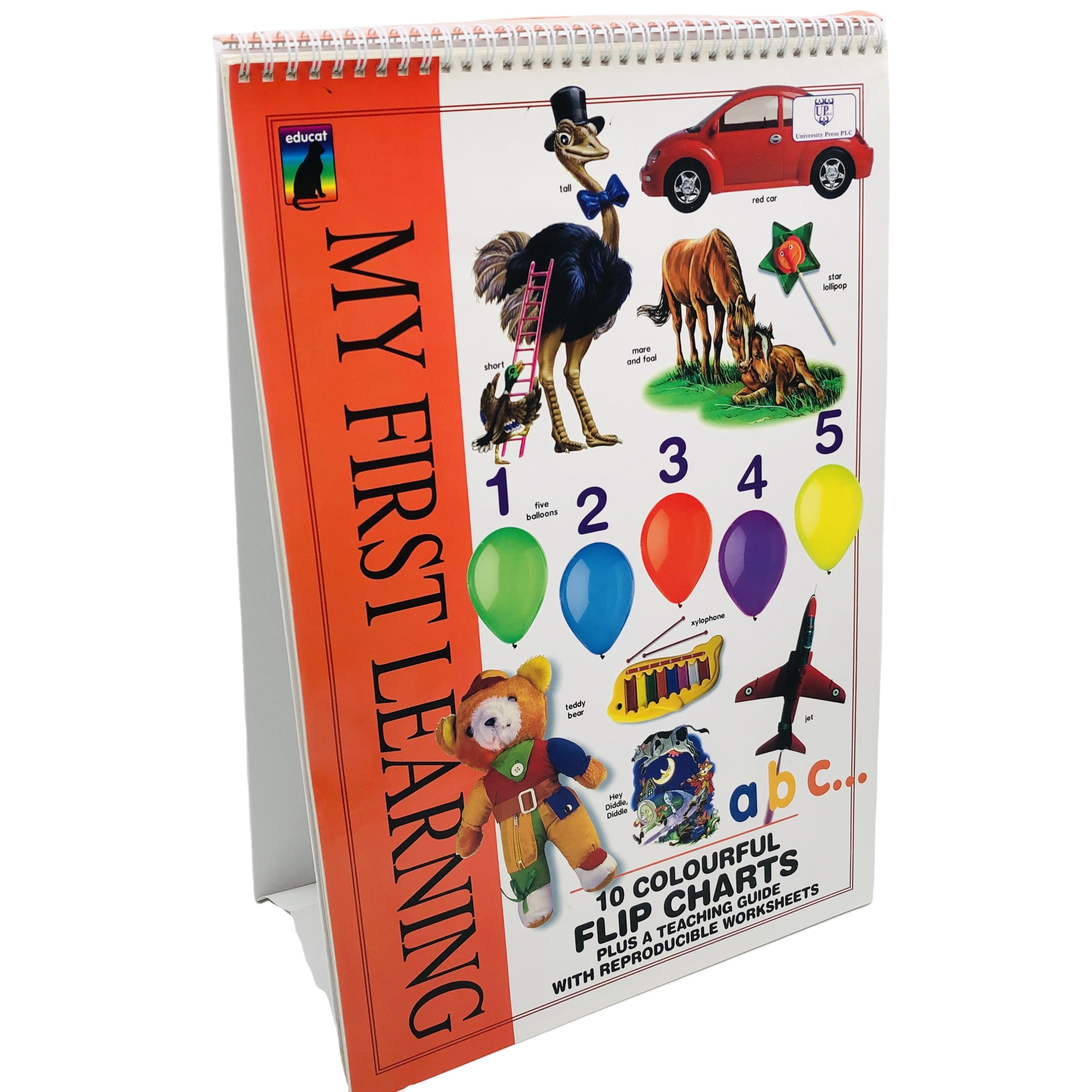 First 100 Words in English 16 Years Experience Board Book Printing Factory Reasonable Prices Board Book For Kids