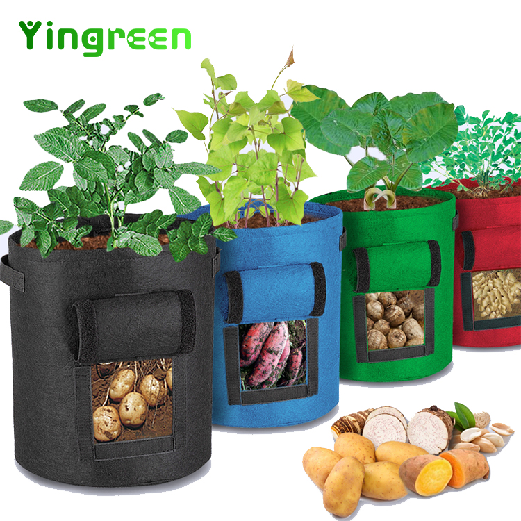 Outdoor Garden Handle 5 7 10 Gallon Customized Vegetable Potato Mushroom Non Woven Fabrics Pots Plant Grow Bags