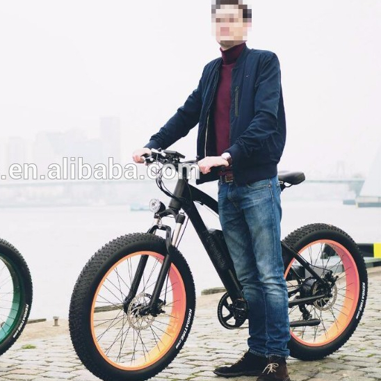 48V500W Электрический горный велосипед ребёнка ройялас bafang 8fun rearmotor