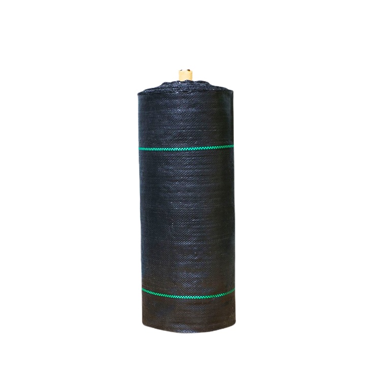 Very hot sell biodegradable weed barrier 100gsm weed mat green
