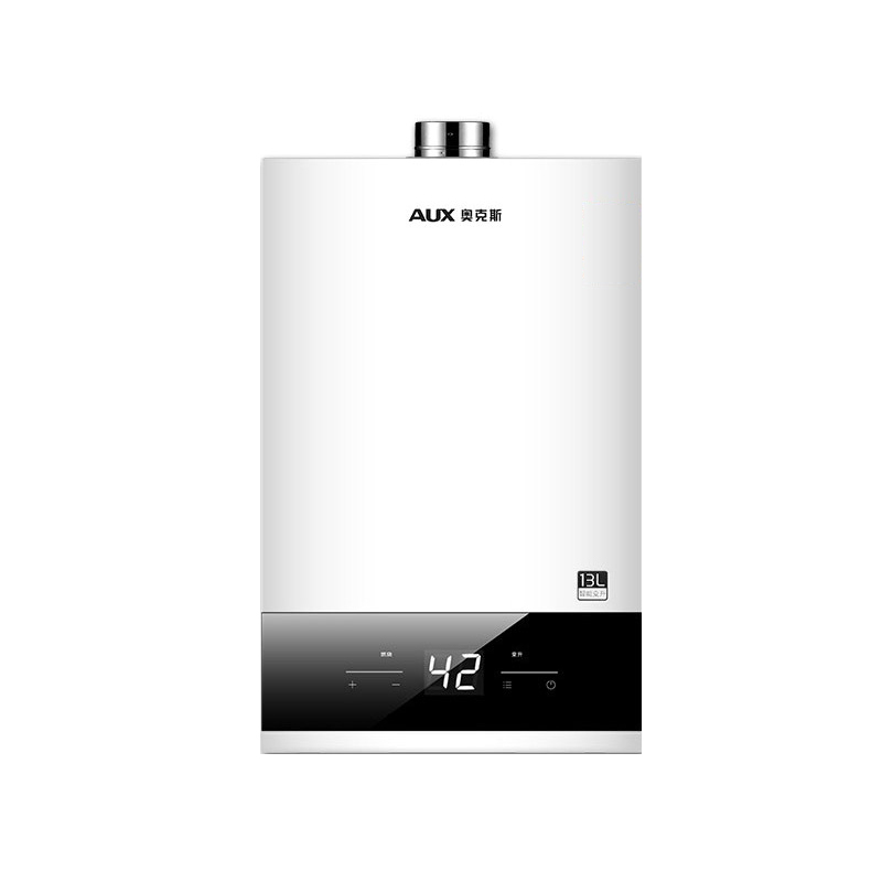 Free Sample Gas water heater Household natural gas liquid gas intelligent variable frequency constant temperature fast heat