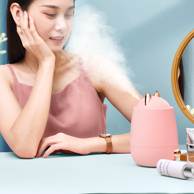Cheap 3 In 1 Personal Table Standing Deep Cleansing Facial Steamer For Spa