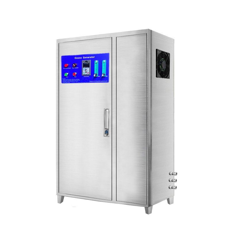 Qlozone Industrial 100G/H Oxygen Source Ozone Machine Water treatment Ozone Generator