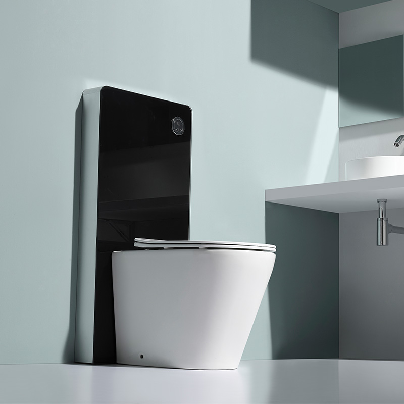 Chinese Sanitary Ware Bathroom Designs Rimless Flushing System Floor Toilet S-trap Toilet