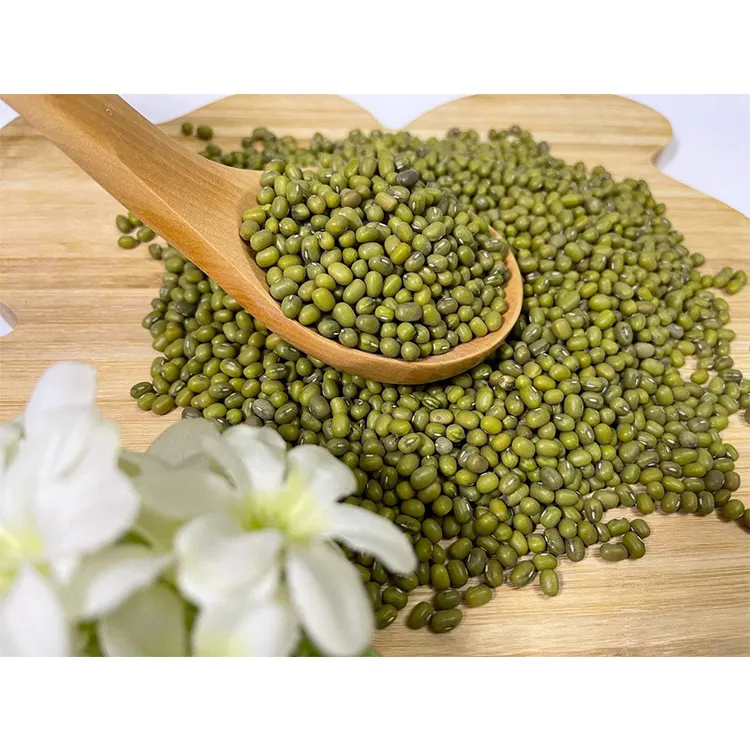 wholesale bulk green mung beans for sale Dried Green Mung Bean From Uzbekistan